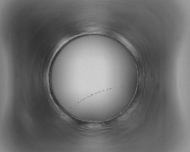 X0000111951291200908101215