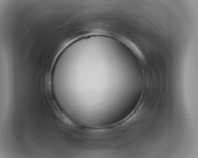 X0000111951292200908101215