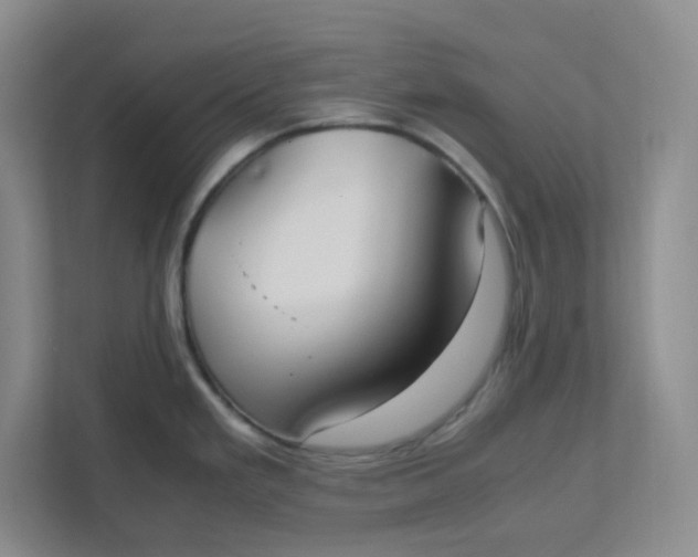 X0000111951293200908101215