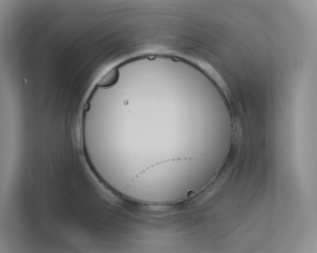 X0000111951295200908101215