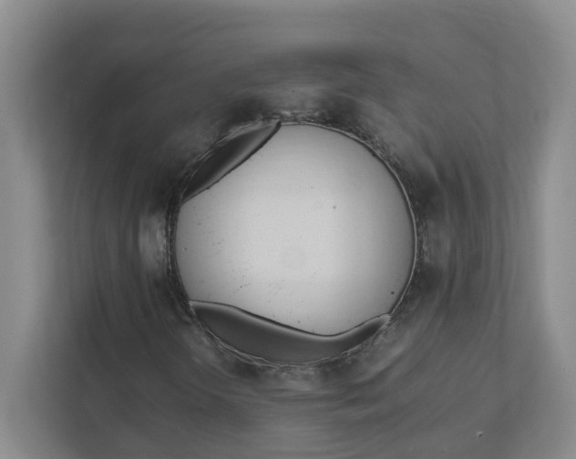 X0000111951298200908101214
