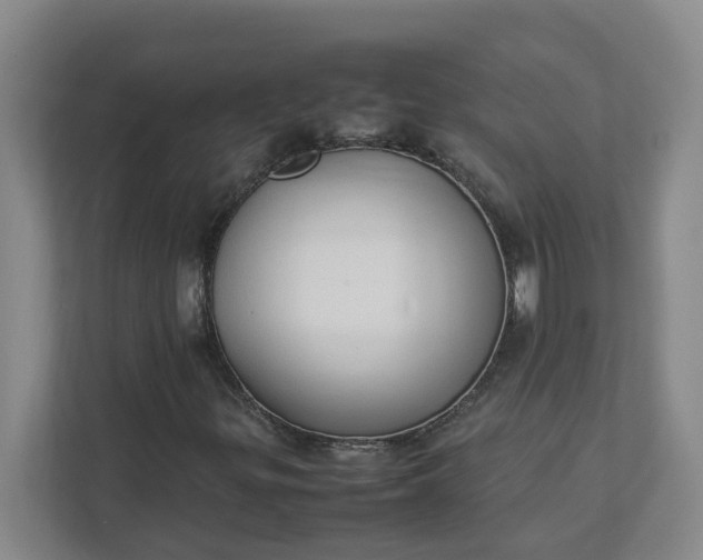 X0000111951299200908101214