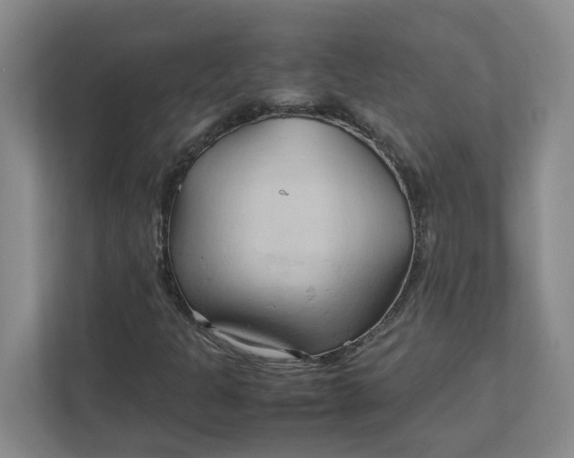 X0000111951301200908101214