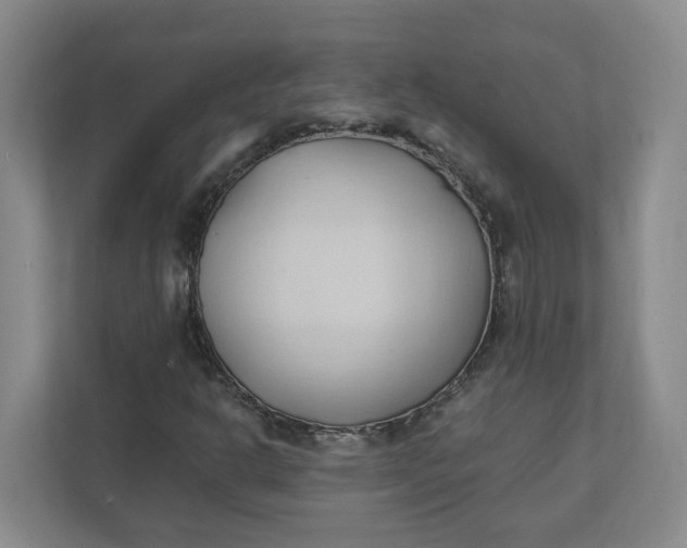 X0000111951302200908101214