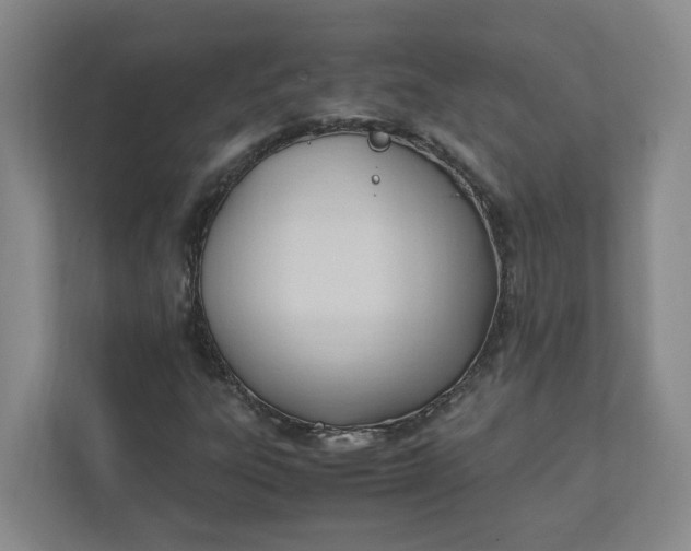 X0000111951303200908101214