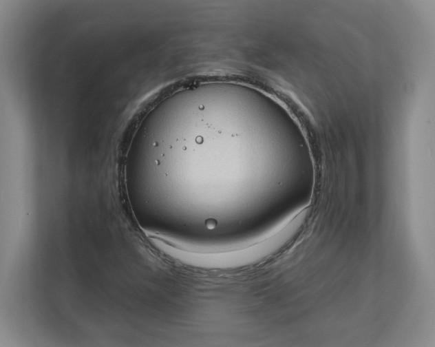 X0000111951304200908101214