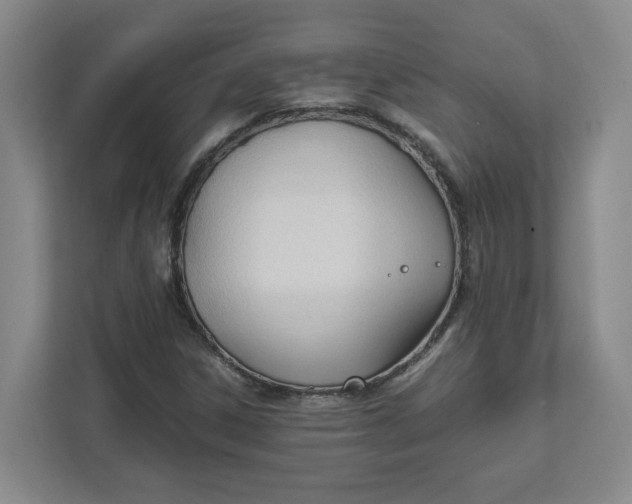 X0000111951306200908101214