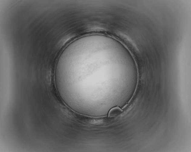 X0000111951313200908101214
