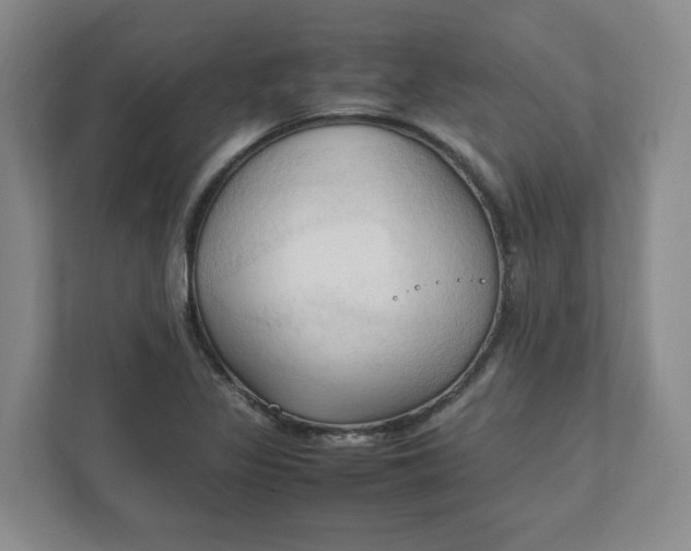 X0000111951317200908101214