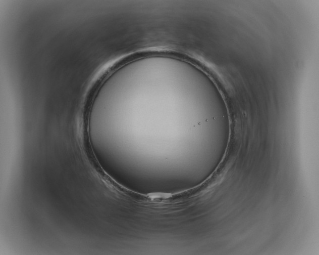 X0000111951319200908101214