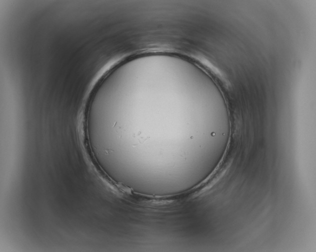 X0000111951325200908101214