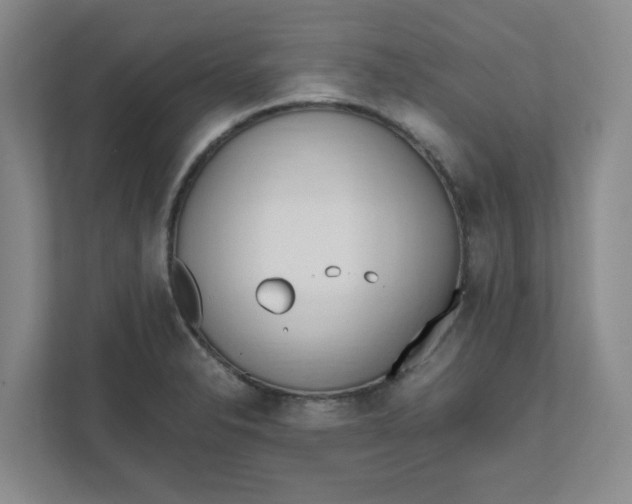 X0000111951326200908101214