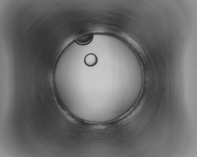 X0000111951329200908101214