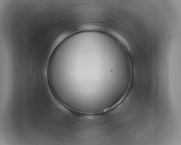 X0000111951330200908101214