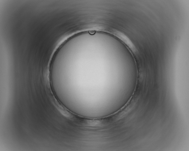 X0000111951332200908101214