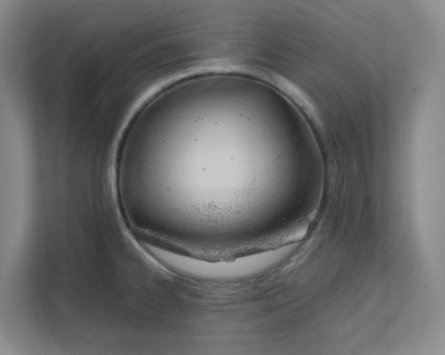 X0000111951334200908101214