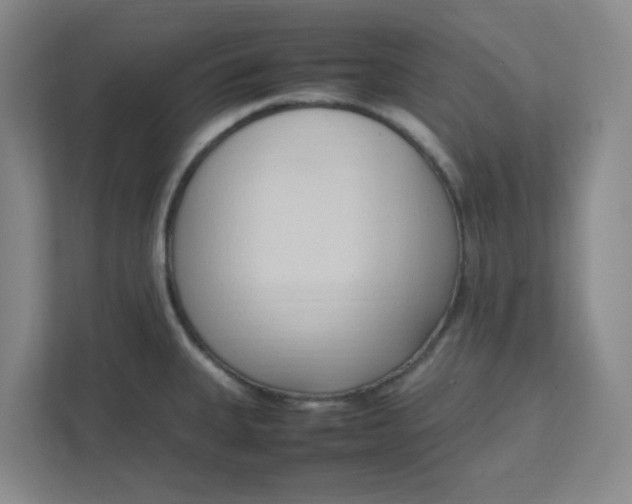 X0000111951335200908101214