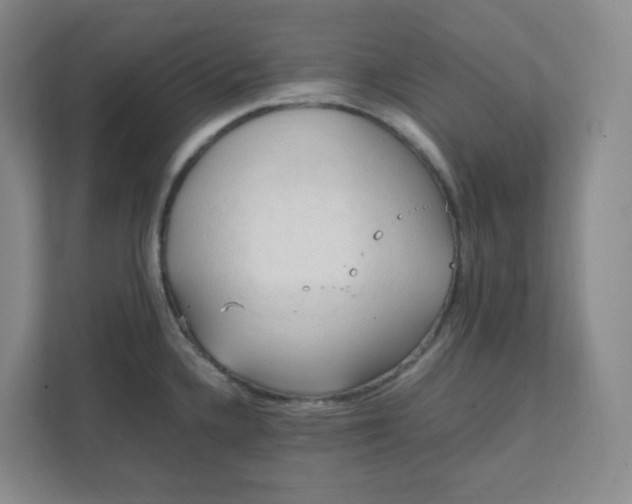 X0000111951336200908101215