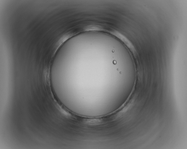 X0000111951337200908101215