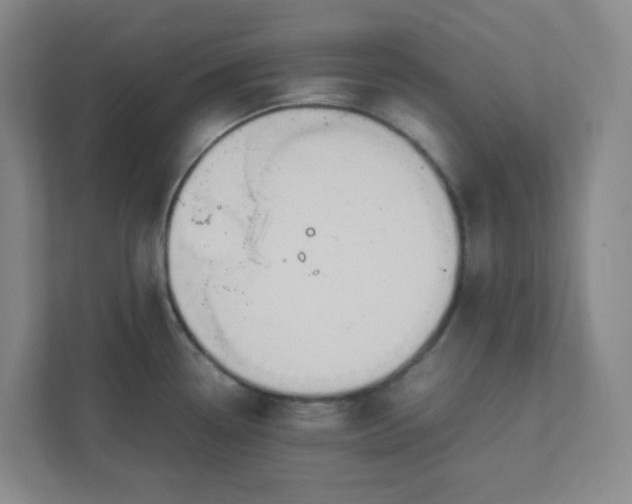 X0000111951338200908101215