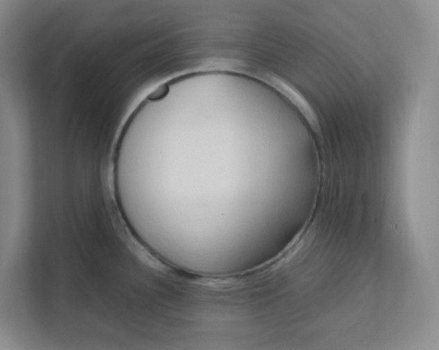 X0000111951340200908101215