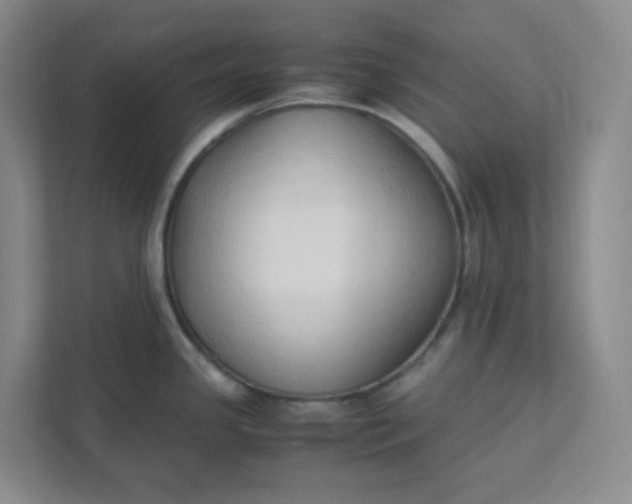 X0000111951341200908101215