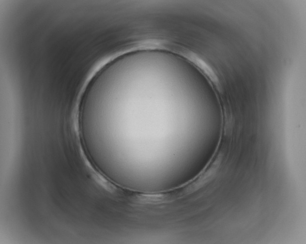 X0000111951342200908101215
