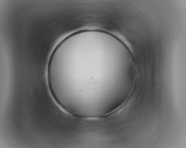 X0000111951343200908101215