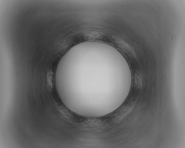 X0000111951346200908101214