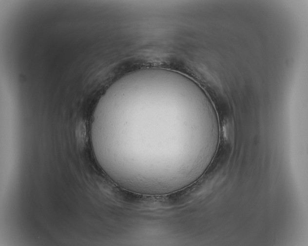 X0000111951347200908101214
