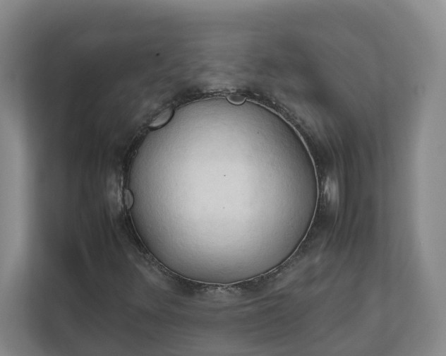 X0000111951348200908101214