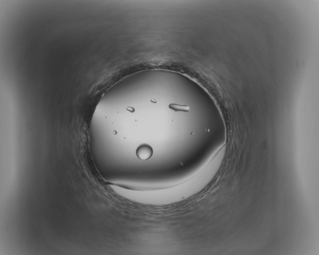 X0000111951349200908101214