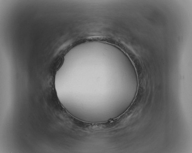 X0000111951351200908101214