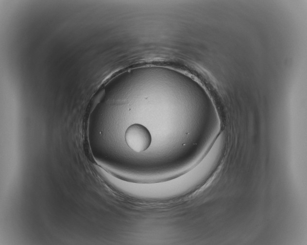 X0000111951353200908101214