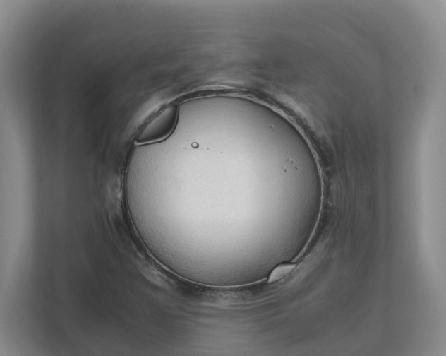 X0000111951355200908101214