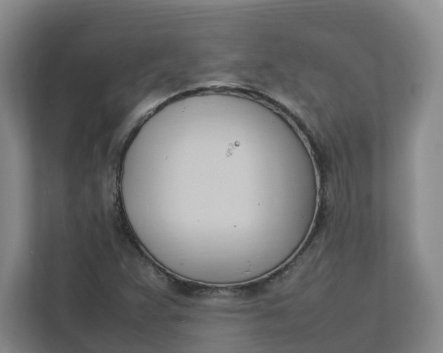 X0000111951359200908101214