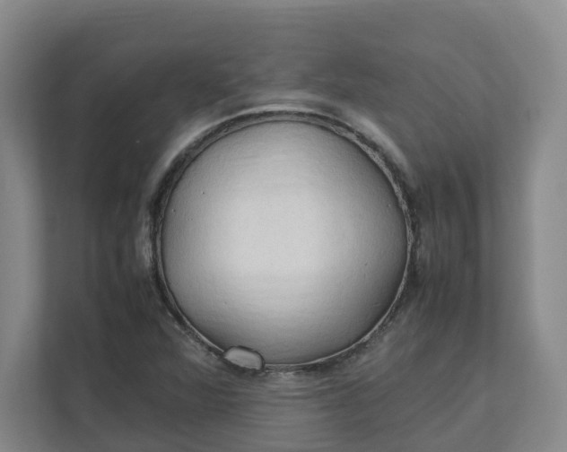 X0000111951360200908101214