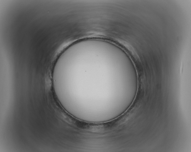 X0000111951363200908101214