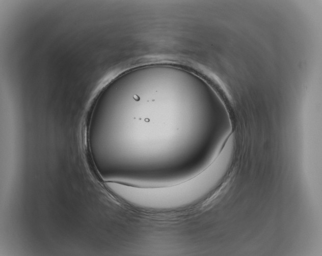 X0000111951365200908101214