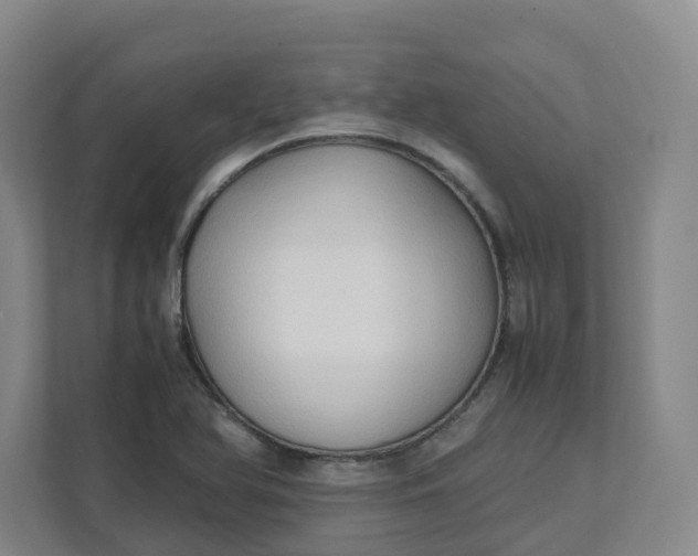 X0000111951366200908101214