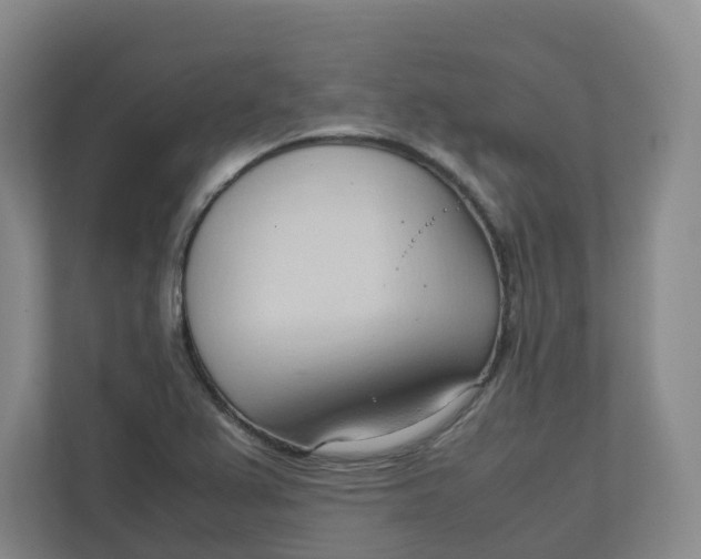 X0000111951367200908101214