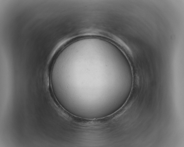 X0000111951368200908101214