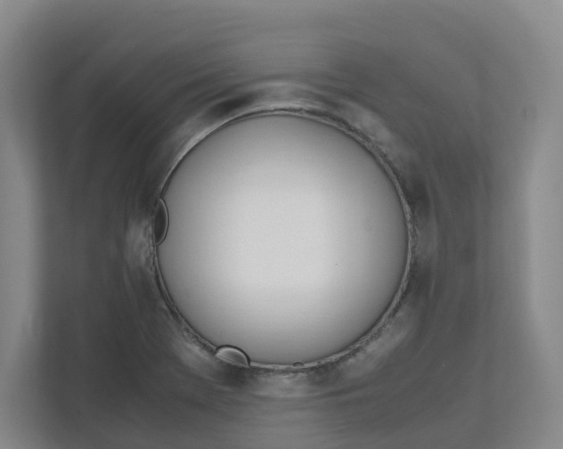 X0000111951369200908101214