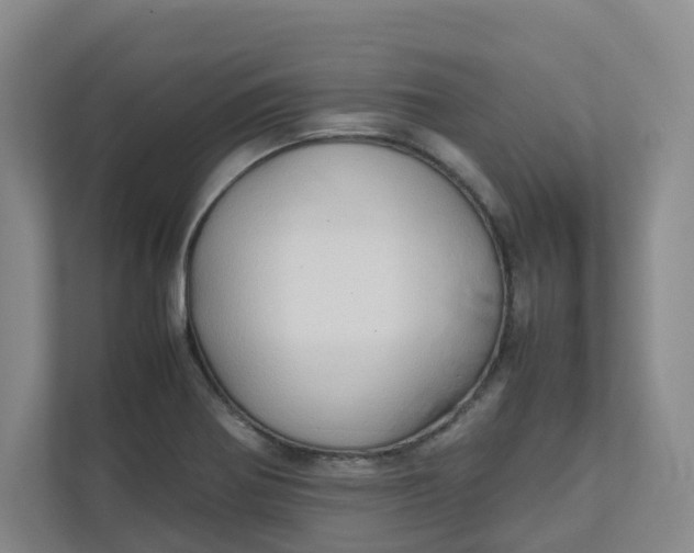 X0000111951370200908101214