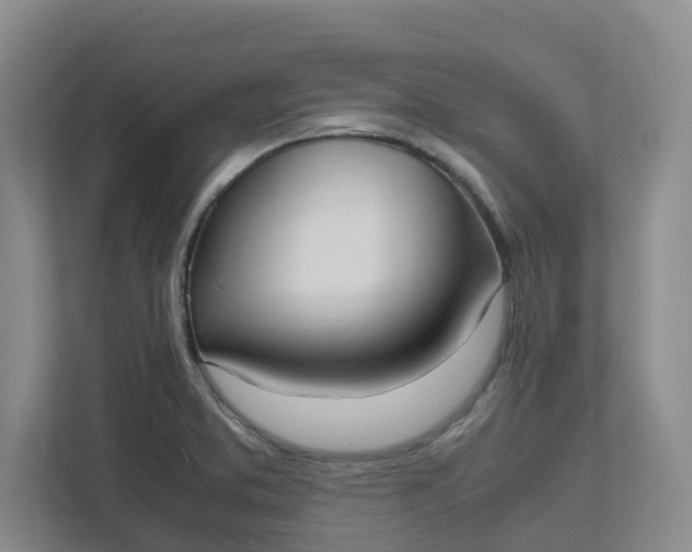 X0000111951373200908101214