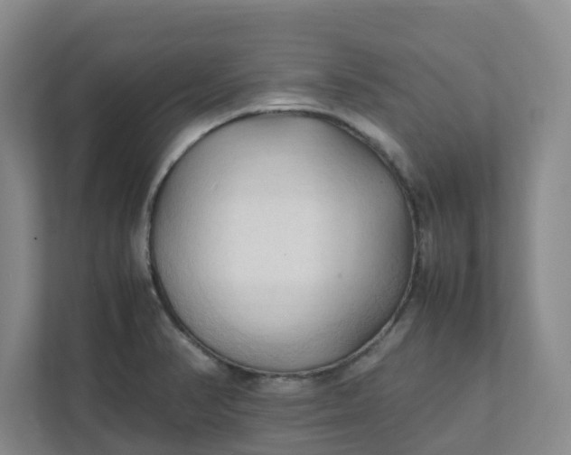 X0000111951374200908101214