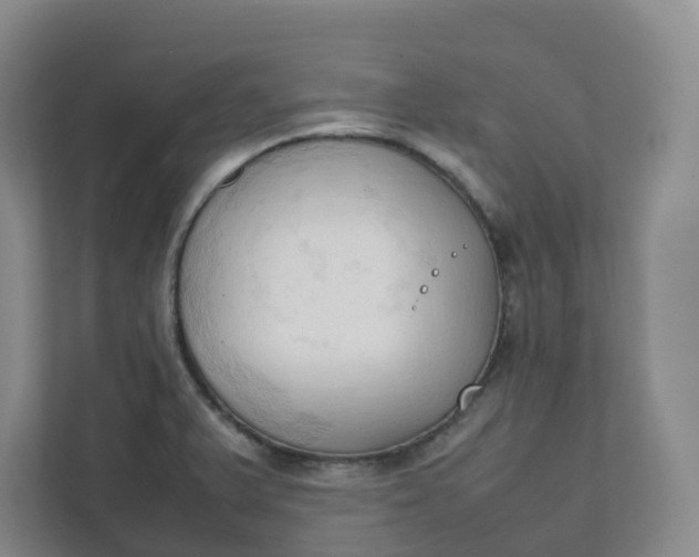 X0000111951375200908101214