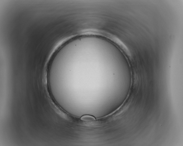 X0000111951376200908101214