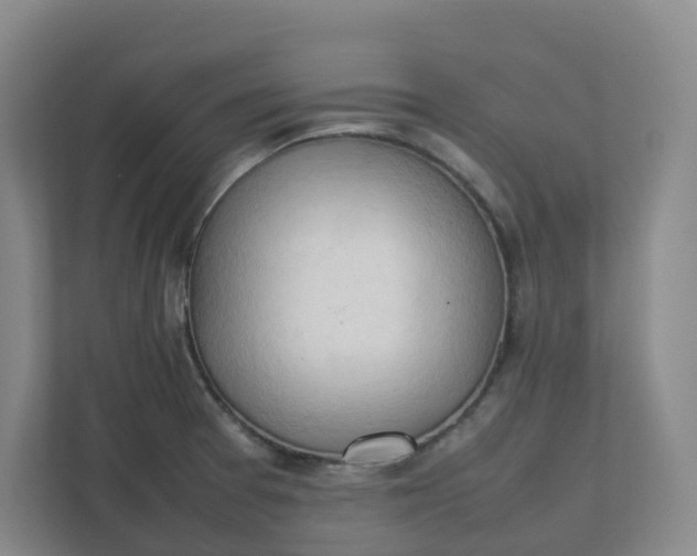 X0000111951377200908101214