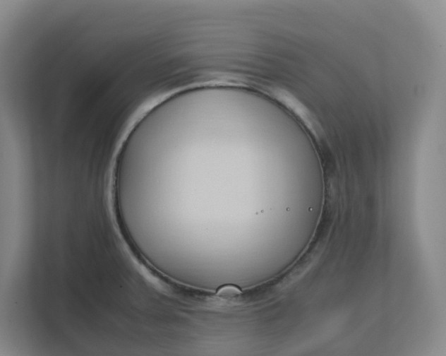 X0000111951379200908101214